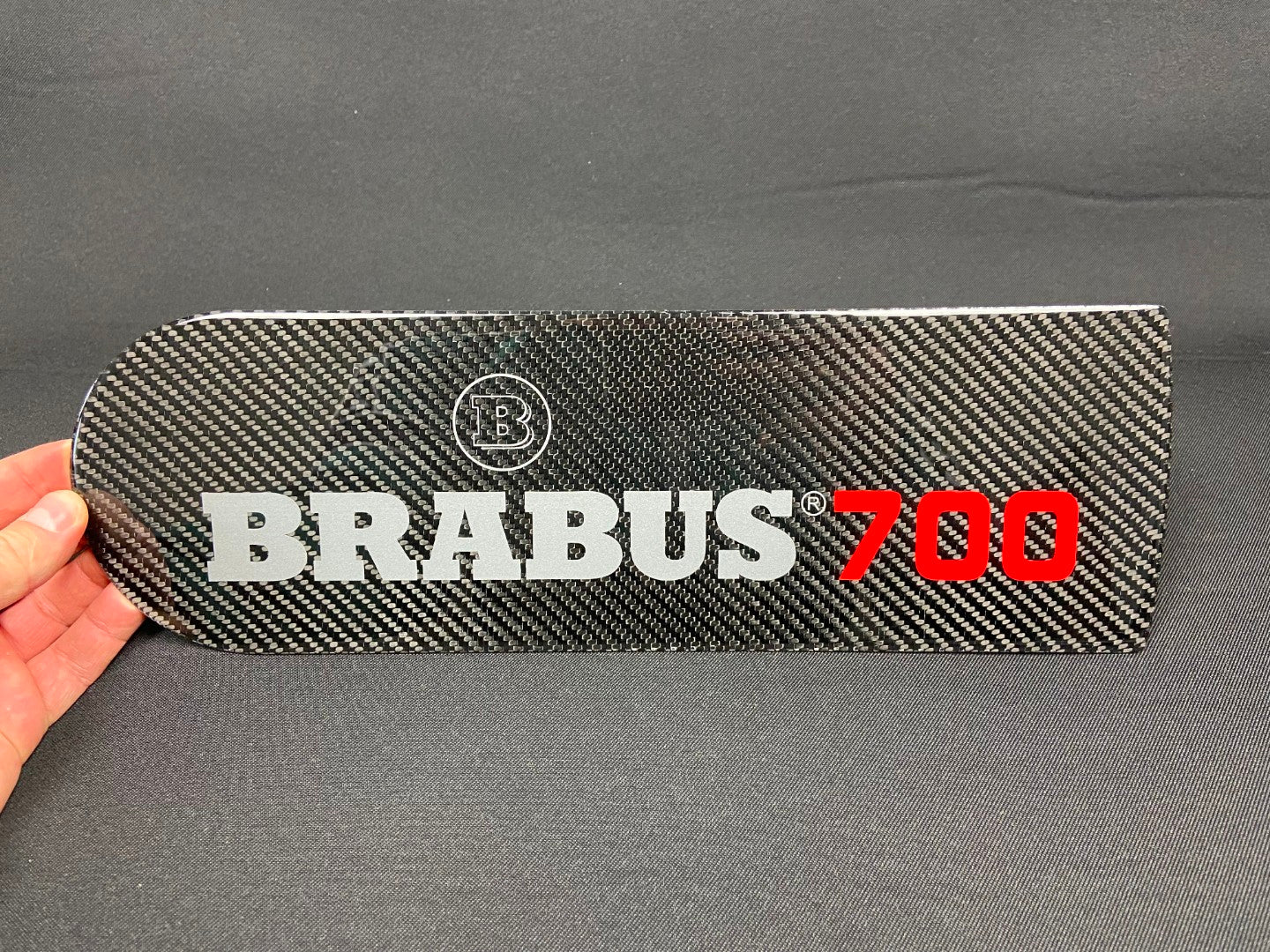 Carbon fiber rear spare wheel plate's emblem insertion for Mercedes-Benz W463 G-Class - Custom Class