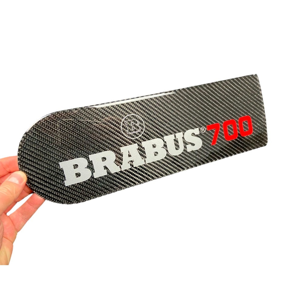 Rear Spare Wheel Carbon Cover plate for Mercedes W463 G Wagon - Custom Class